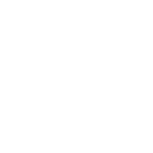 BJJ 3000